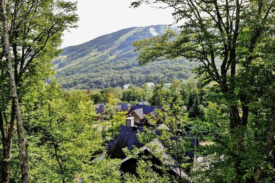 Natural landscape, Hiking, Mountain view
