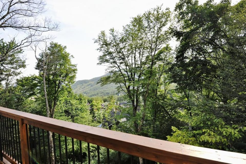 Balcony/Terrace, Mountain view