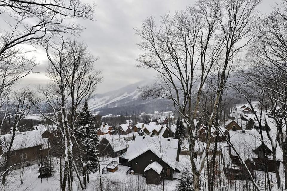 Neighbourhood, Winter