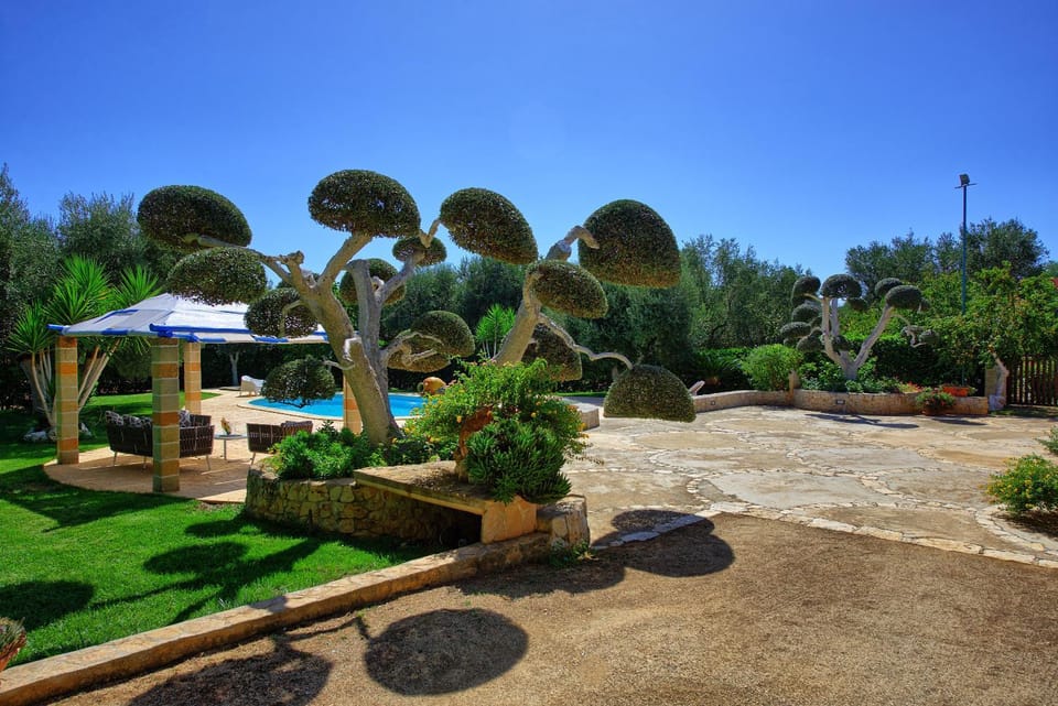 Garden, Swimming pool, Swimming pool