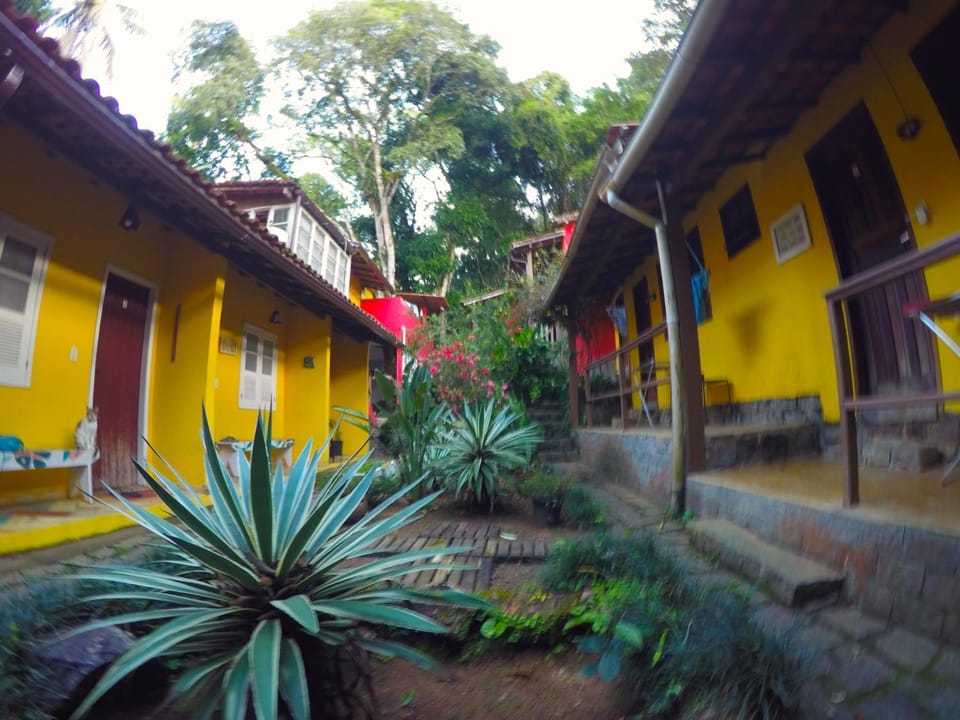 Day, Garden, Garden view