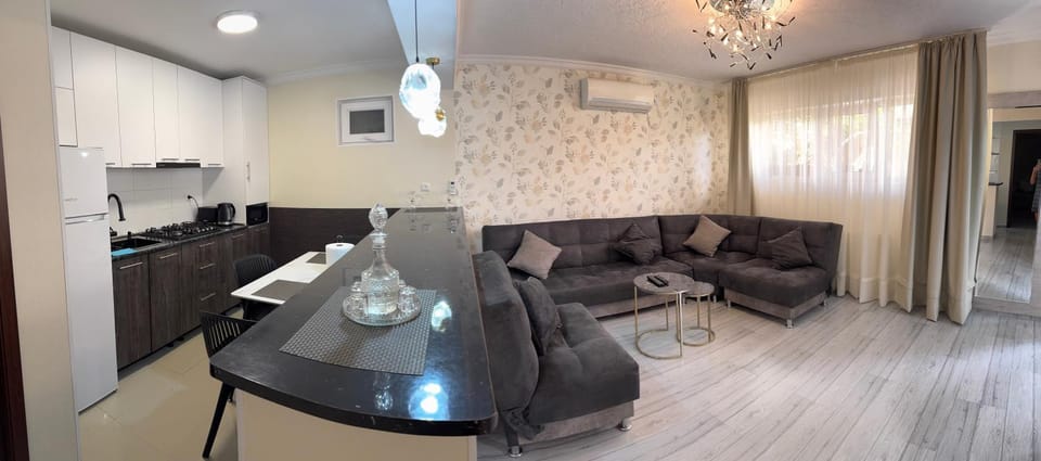 Kitchen or kitchenette, Living room, Seating area, air conditioner