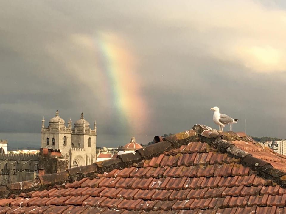 Nearby landmark, Animals