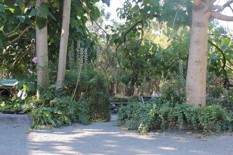 Natural landscape, Garden, Garden view