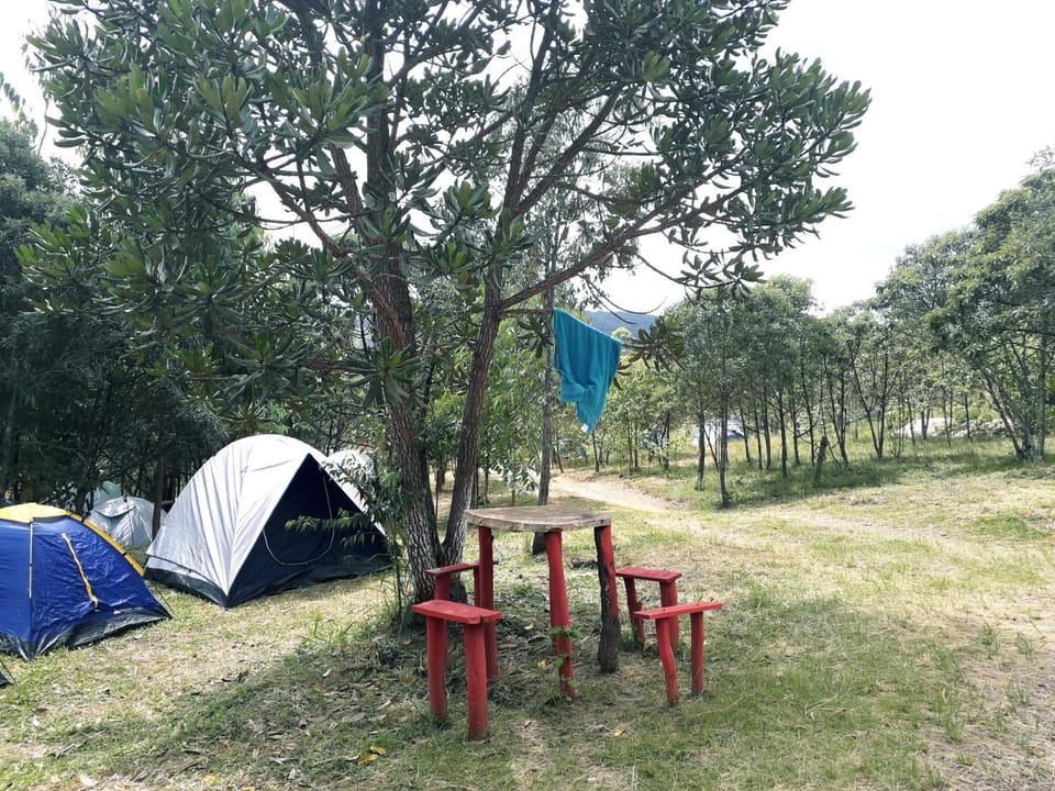 Camping Avohai Campground/ 
RV Resort in State of São Paulo