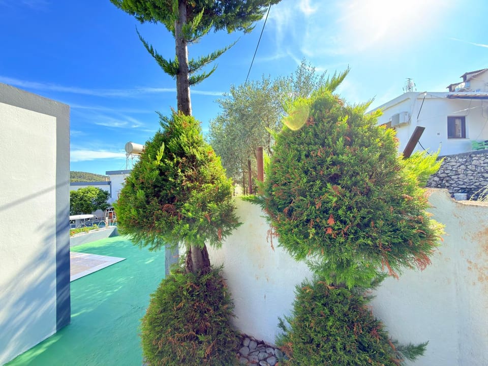 Spring, Day, Garden, Garden view