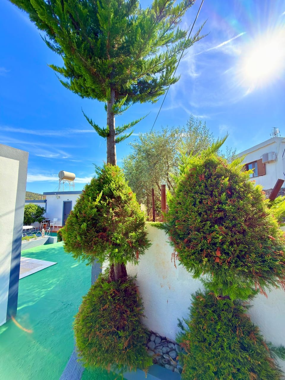Spring, Day, Garden, Garden view, Pool view, Swimming pool