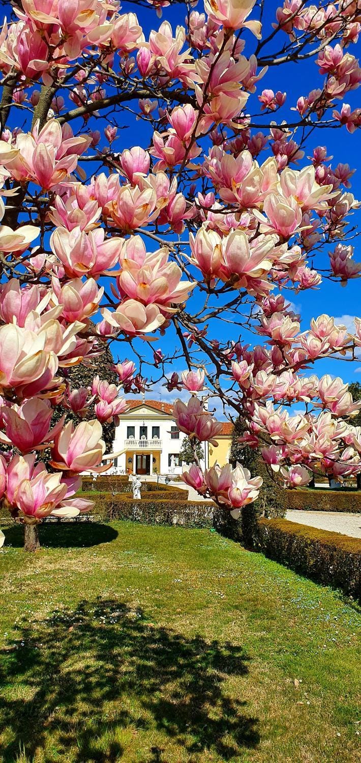 Property building, Spring, Natural landscape, Garden