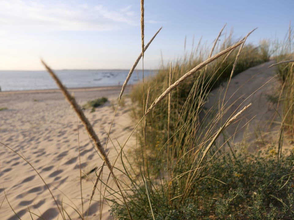 Nearby landmark, Off site, Neighbourhood, Natural landscape, Beach, Beach