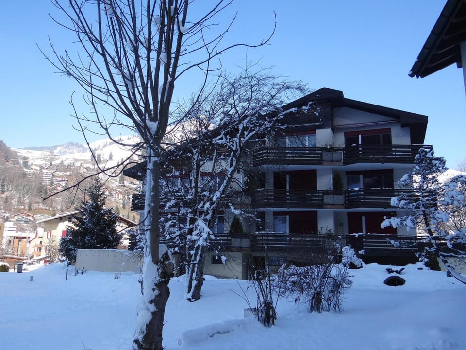 Apartment Birkenstrasse 56 Appartement-Fewo 4-Bettwohnung by Interhome Apartment in Canton of Bern (Region)