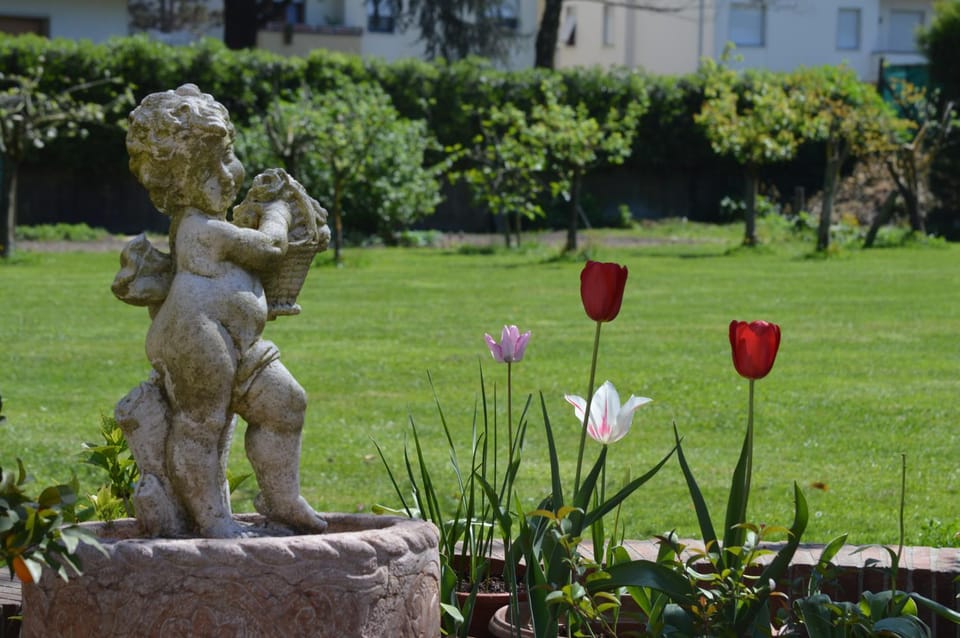 Garden, Garden