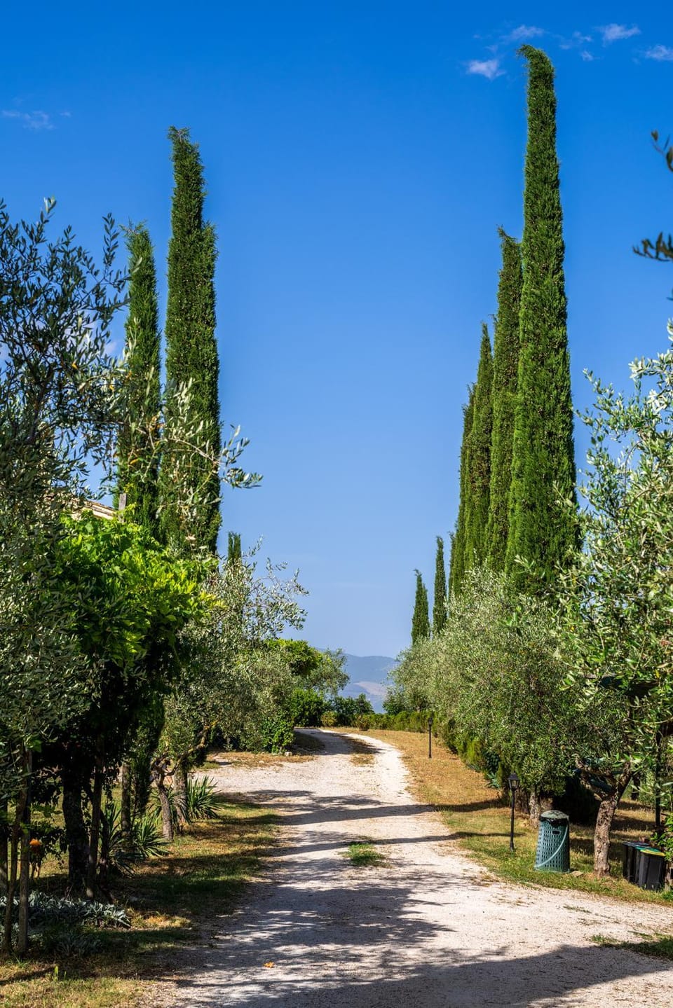 Natural landscape