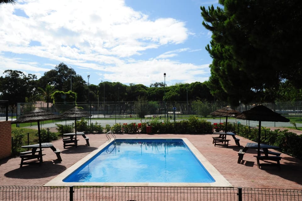 Day, Pool view, Swimming pool, Swimming pool