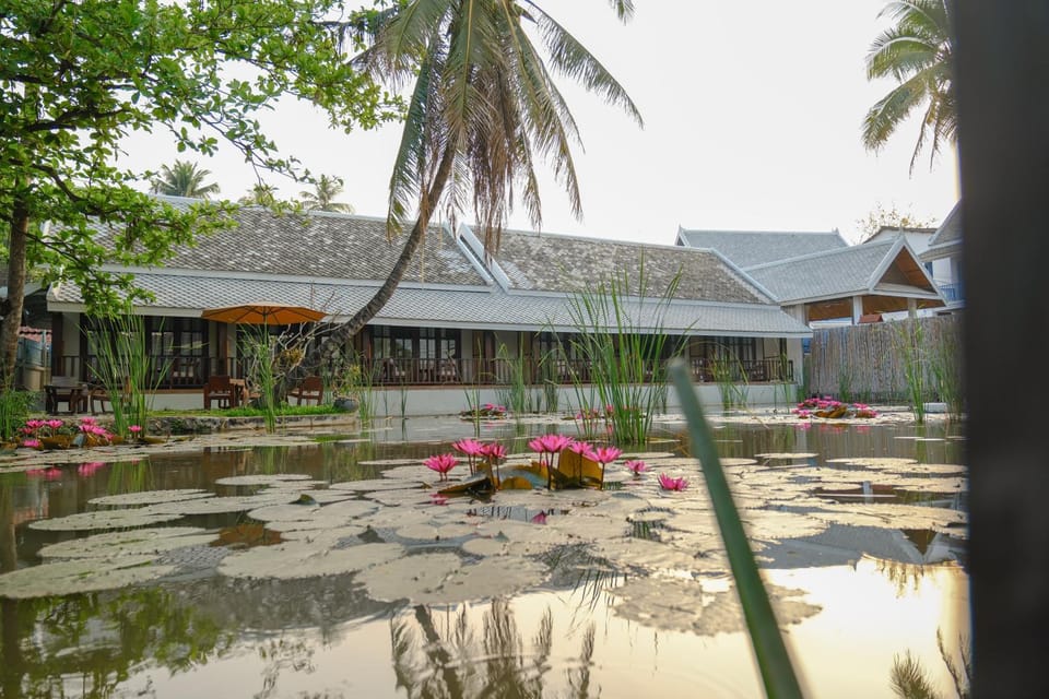 Natural landscape, Garden view