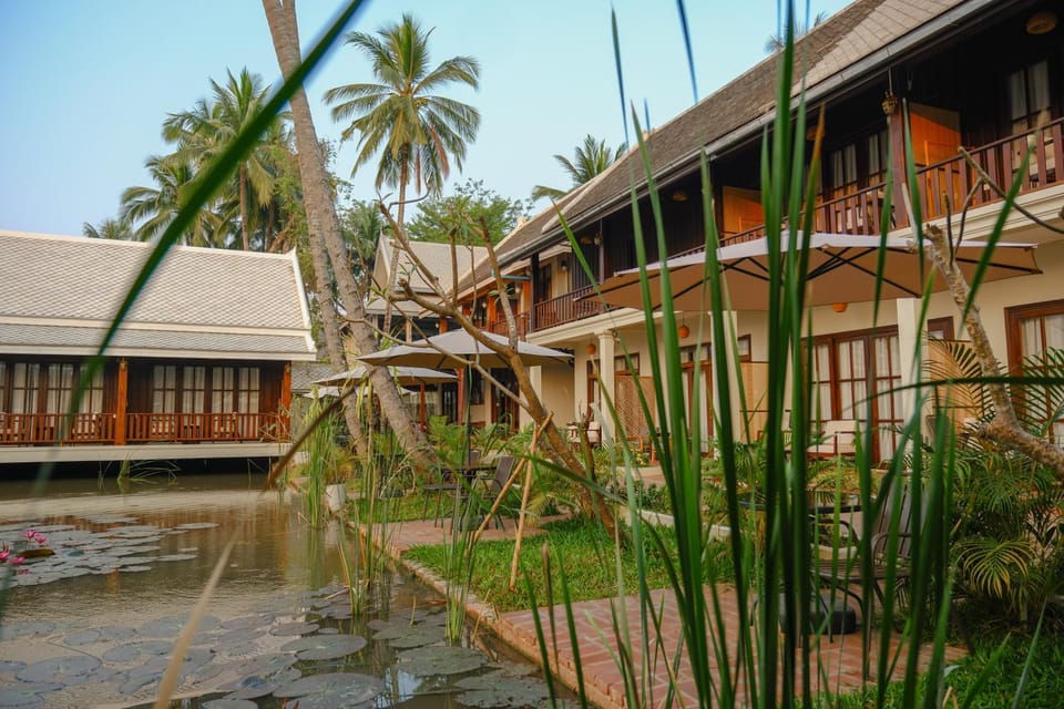 Property building, Garden view