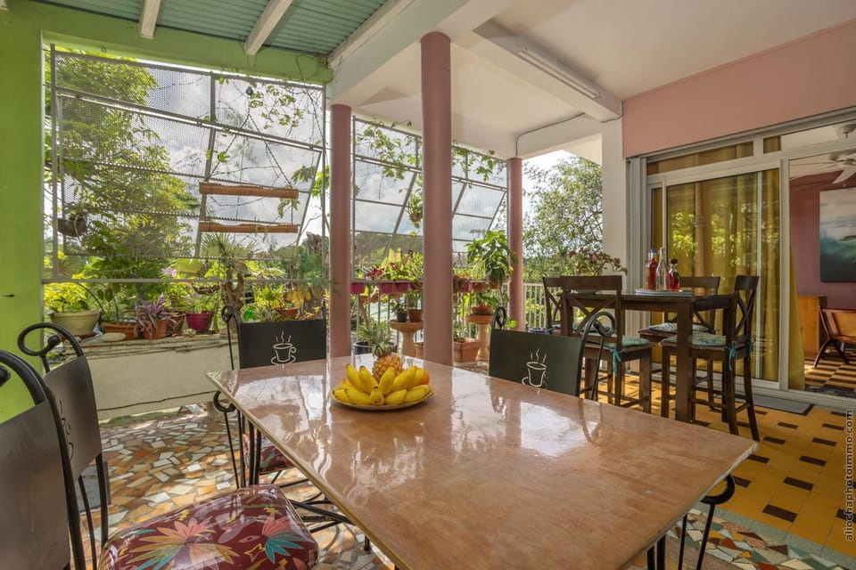 Patio, Dining area