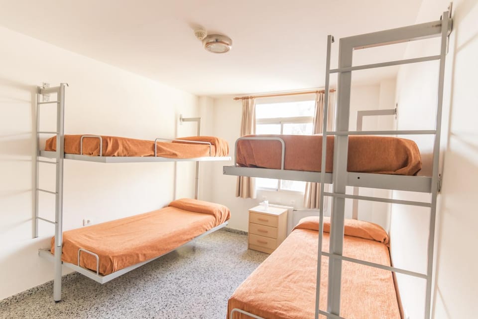bunk bed
