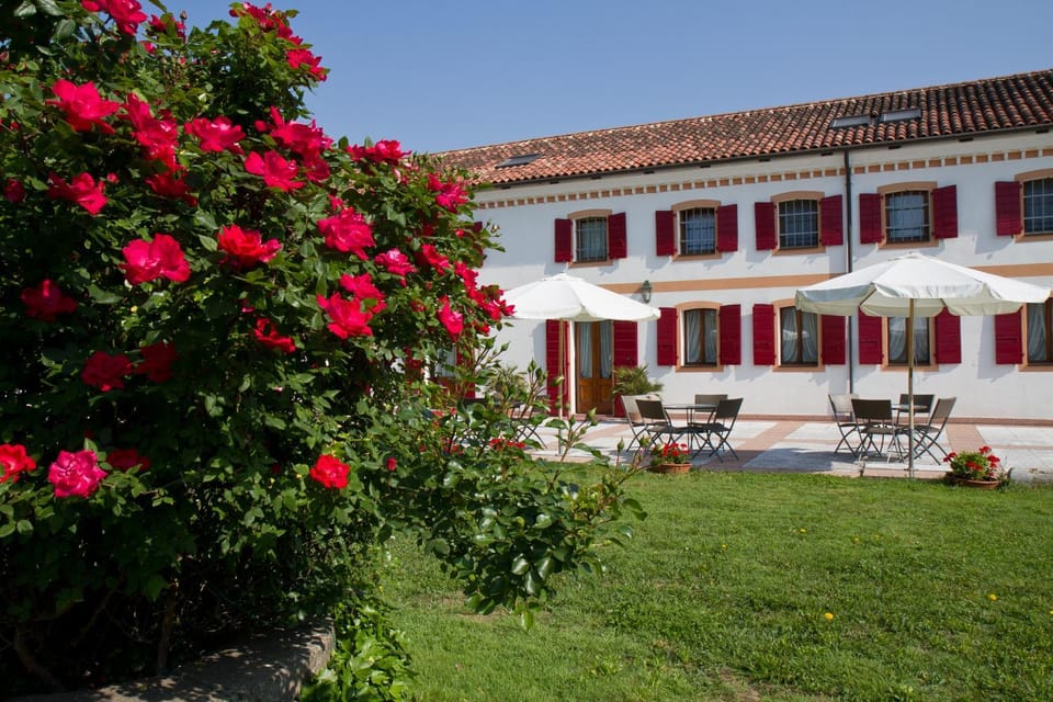 Facade/entrance, Garden
