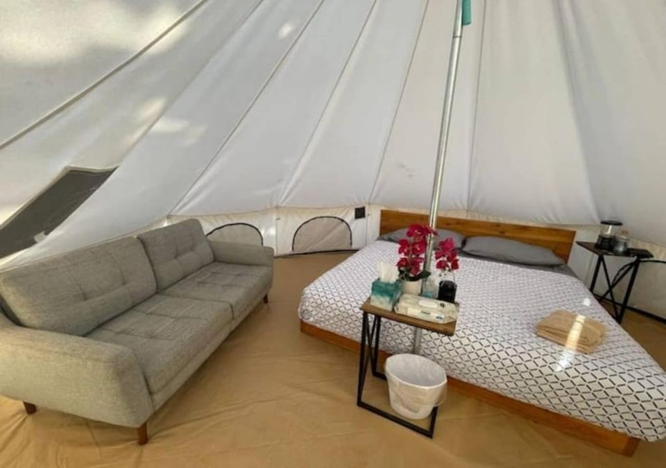 Bed, Living room, Bedroom