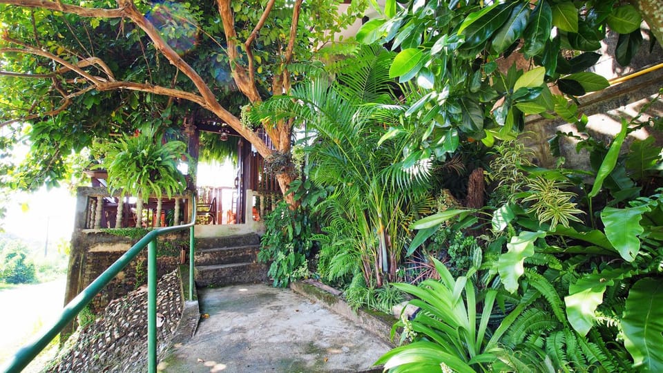 Facade/entrance, Garden, Balcony/Terrace