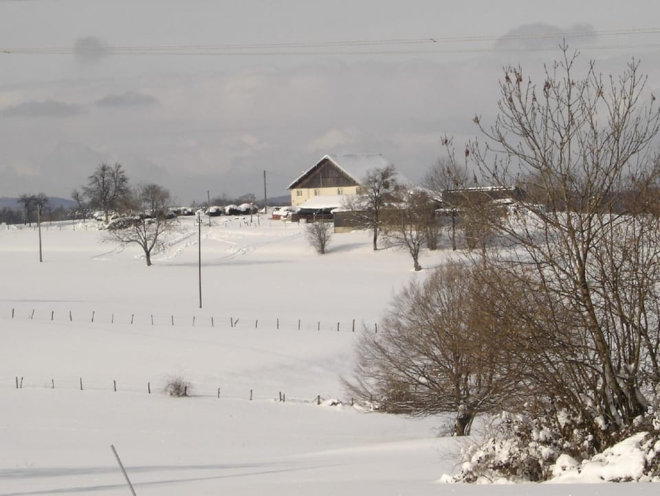 gite Loca House in Switzerland