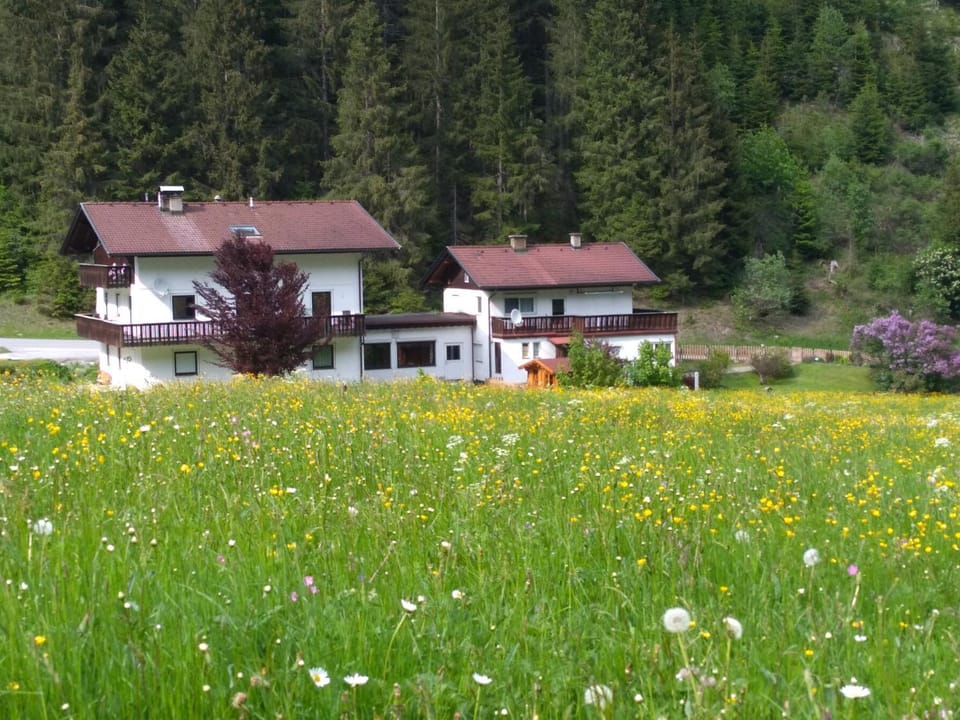 Property building, Spring, View (from property/room), On site
