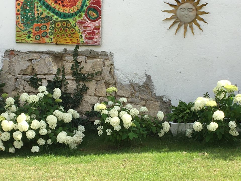 Garden, Area and facilities
