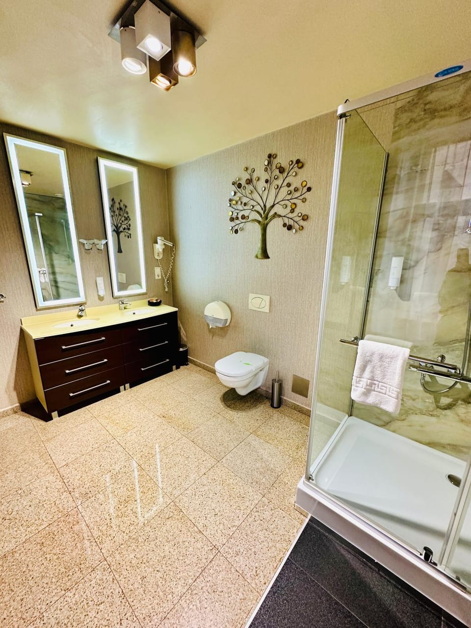 Shower, Bathroom, towels