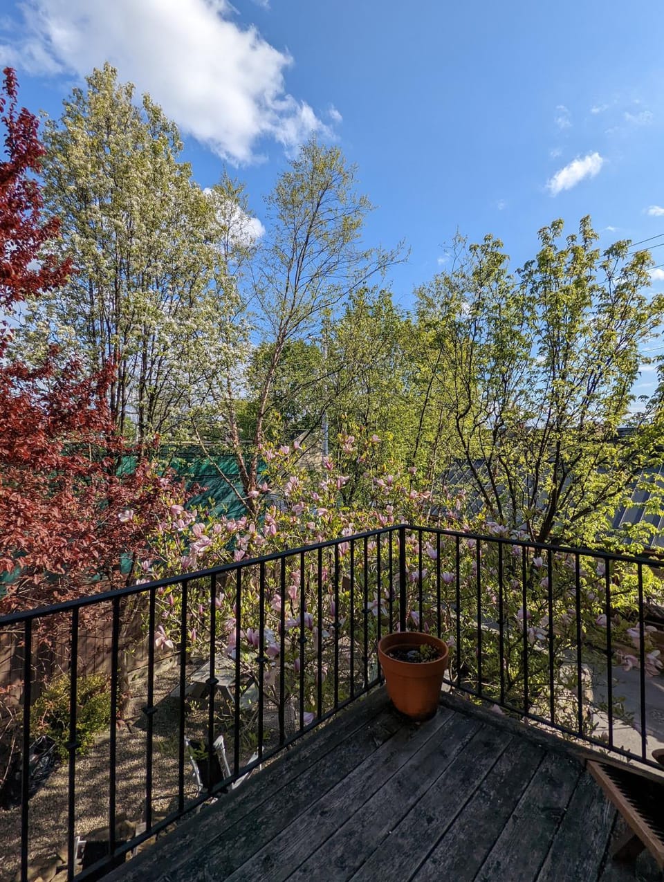 Balcony/Terrace, Garden view