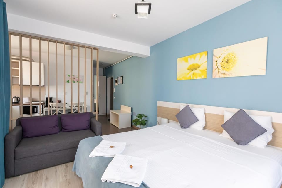 Montana Studios Apartment in Brasov