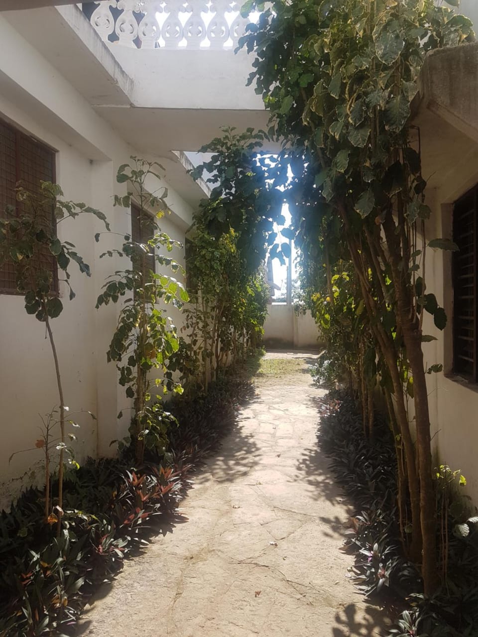 Garden view