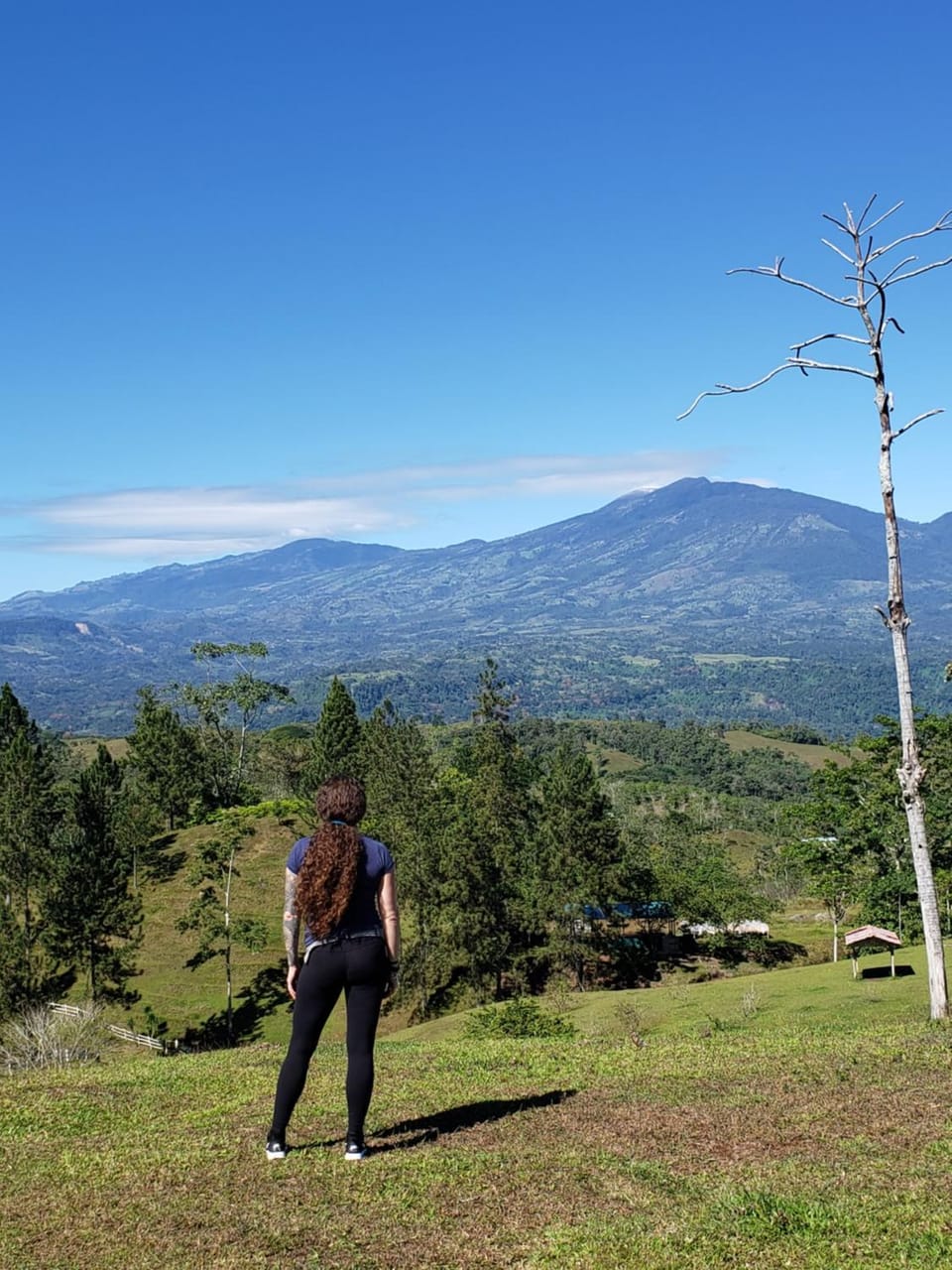 Finca Tres Equis - Farm and Forest Vacation rental in Cartago Province, Costa Rica