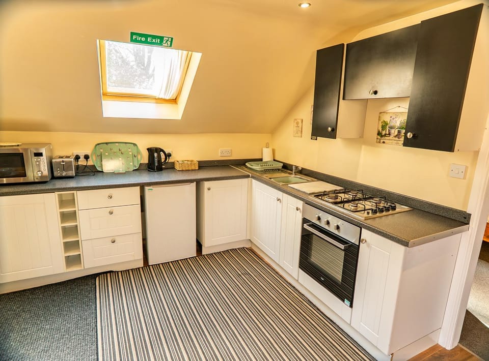 Kitchen or kitchenette, oven, stove