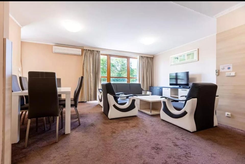 Teplice Plaza Apartment hotel in Czechia