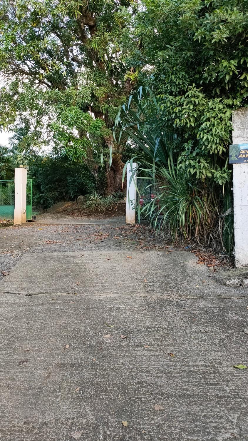 Facade/entrance, Parking