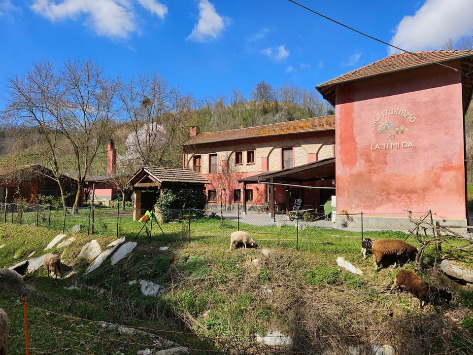 Property building, Garden view