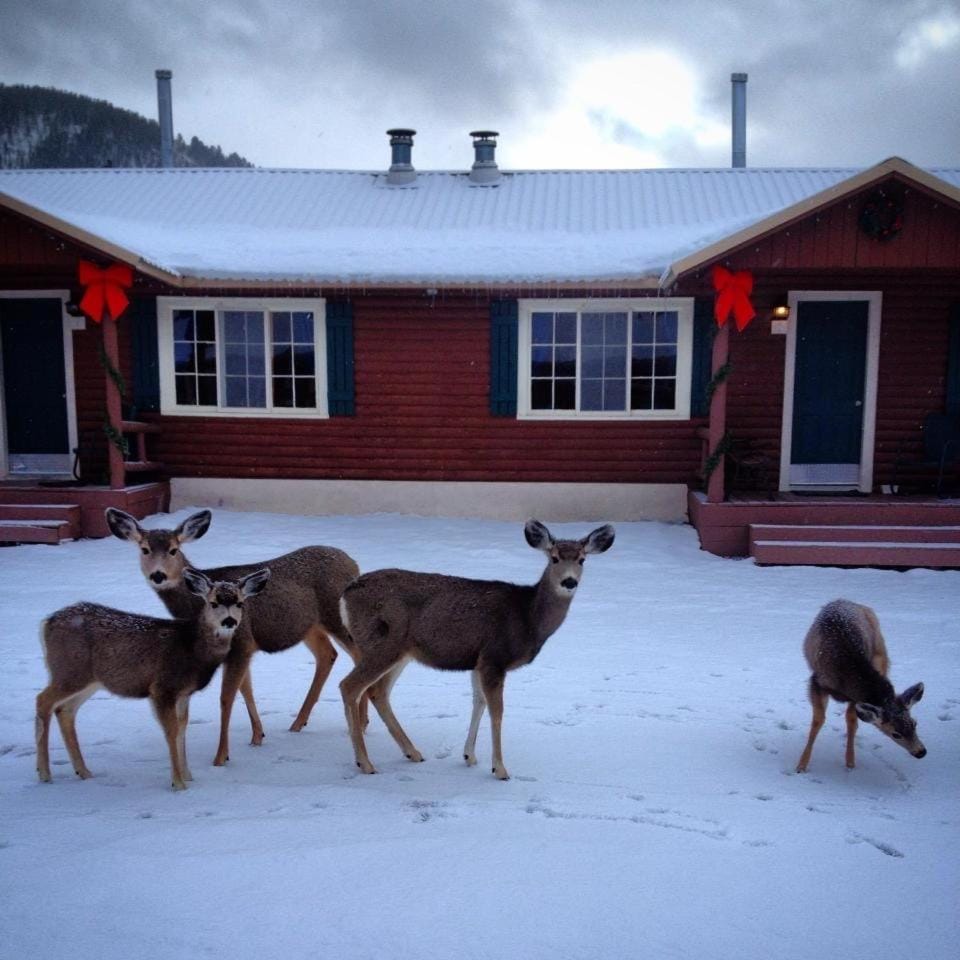Three Bears Lodge Hotel in Red River