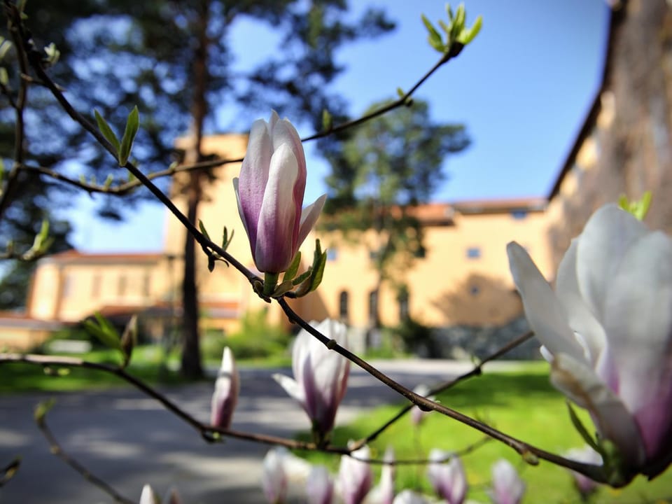 Facade/entrance, Garden