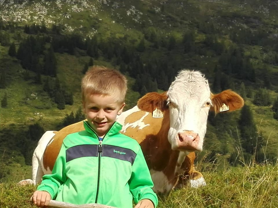 Animals