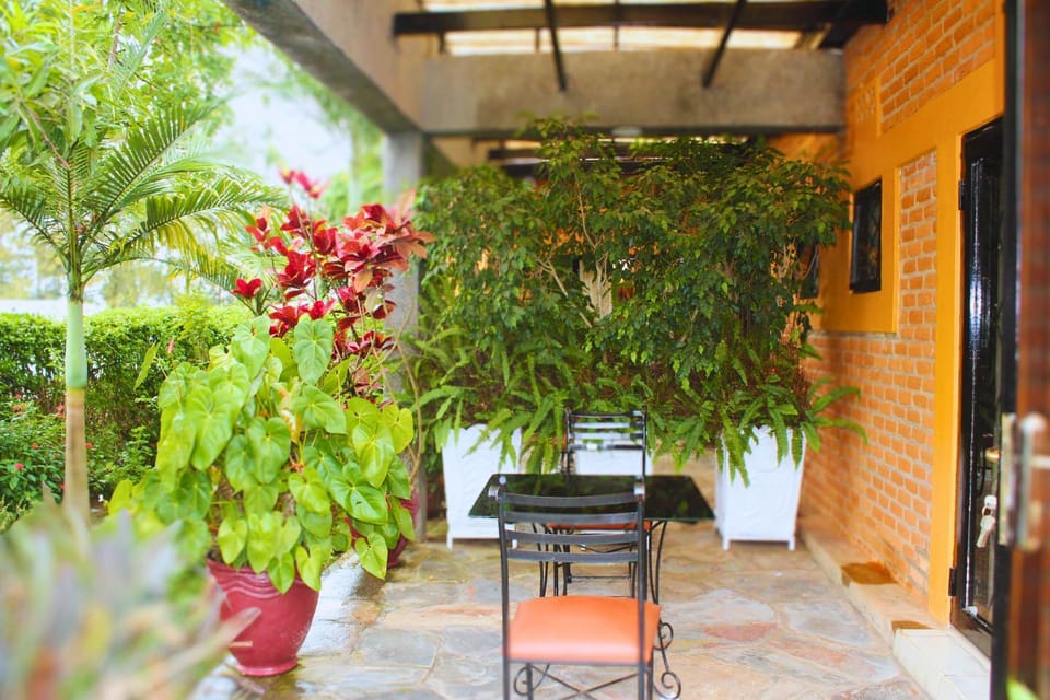 Patio, Garden, Balcony/Terrace, Garden view