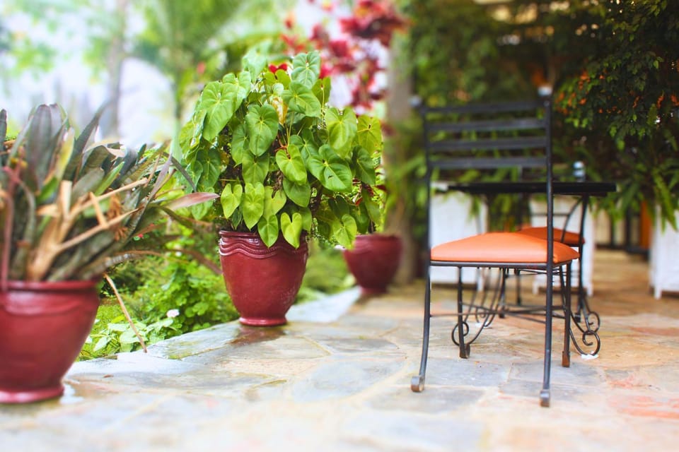 Patio, Garden, Balcony/Terrace, Balcony/Terrace, Garden view