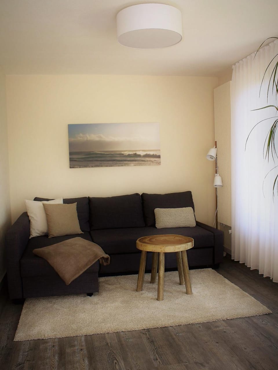 Living room, Photo of the whole room