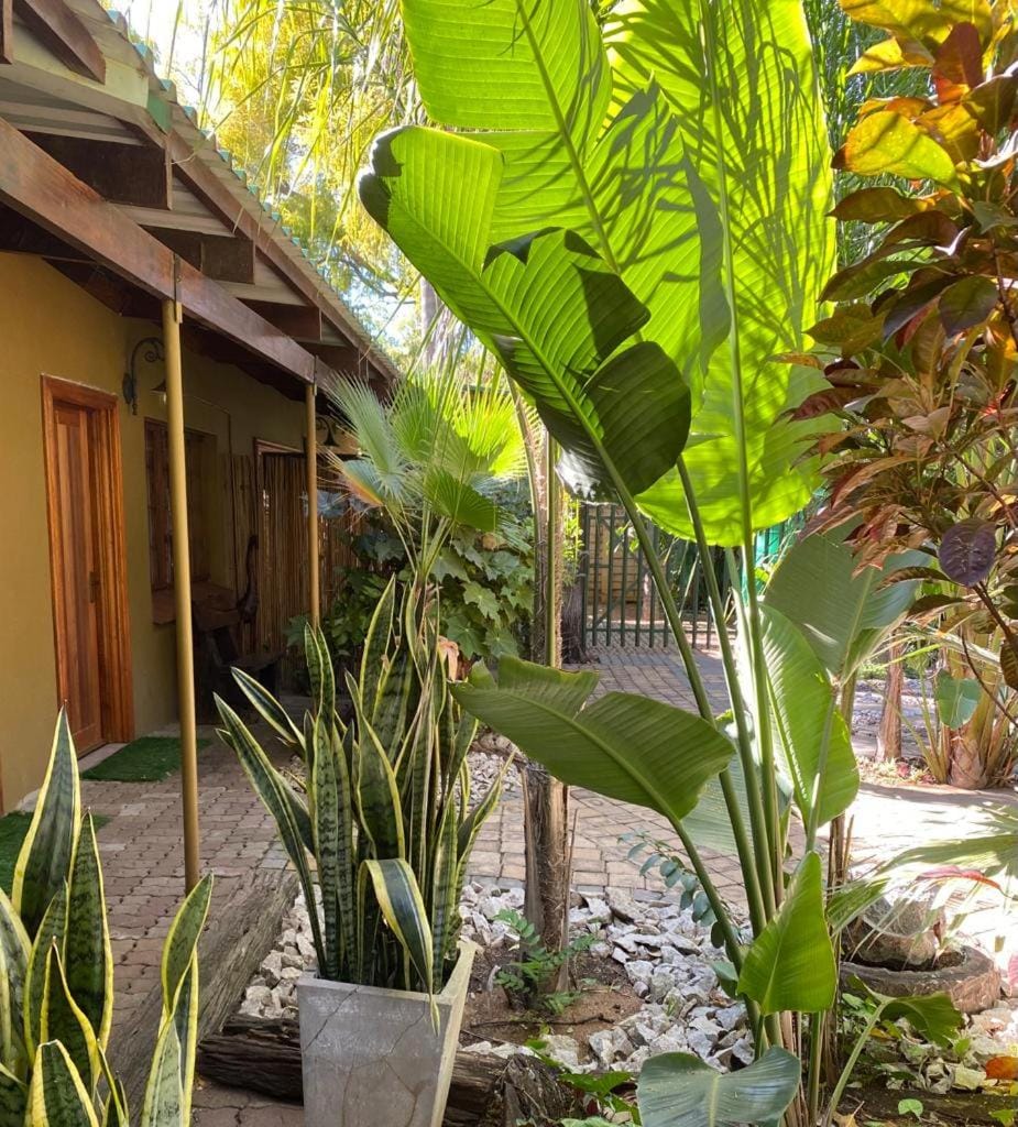 Olive Leaves Guest House Bed and Breakfast in North West, South Africa