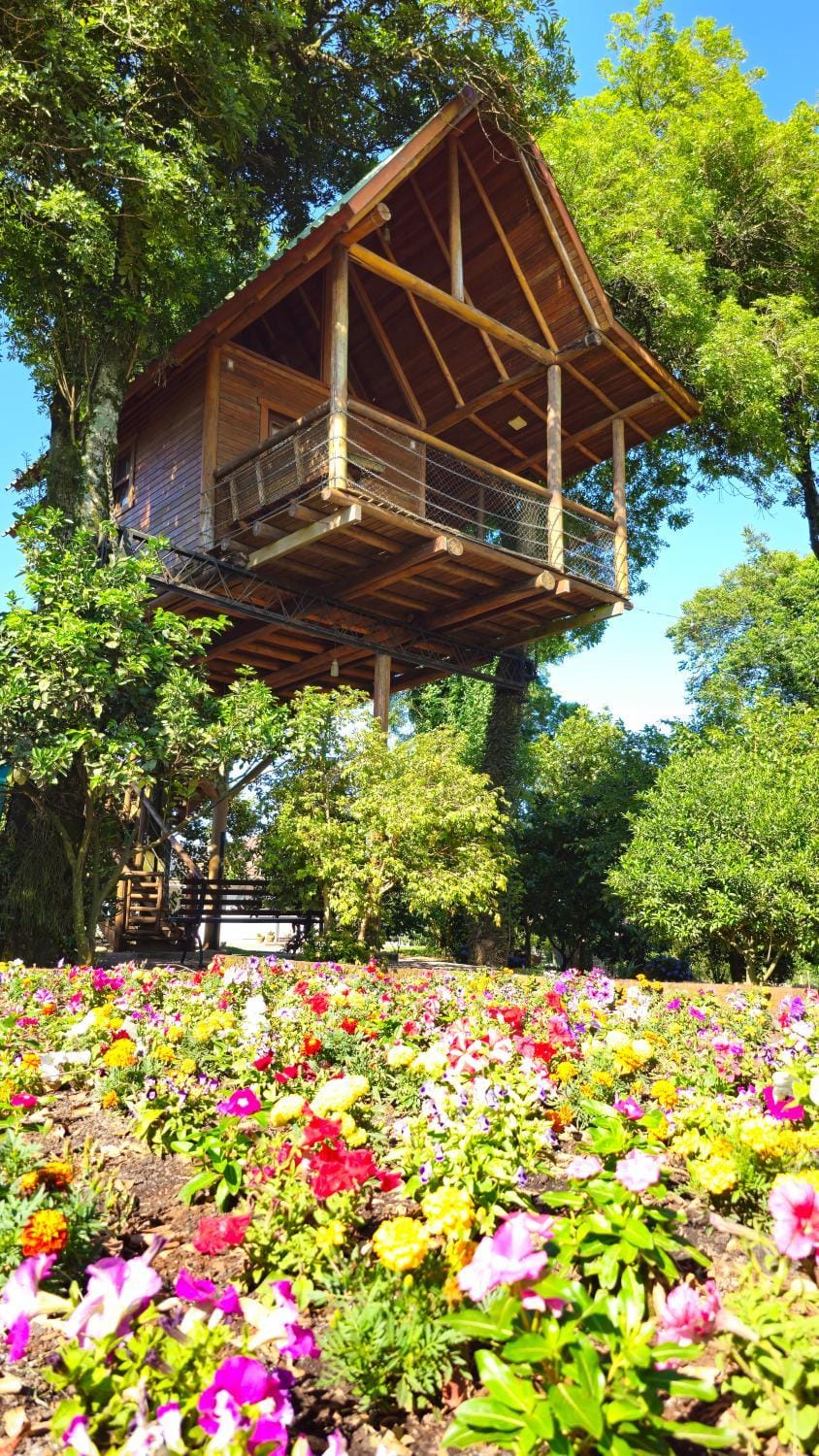 Garden, Garden, Garden view