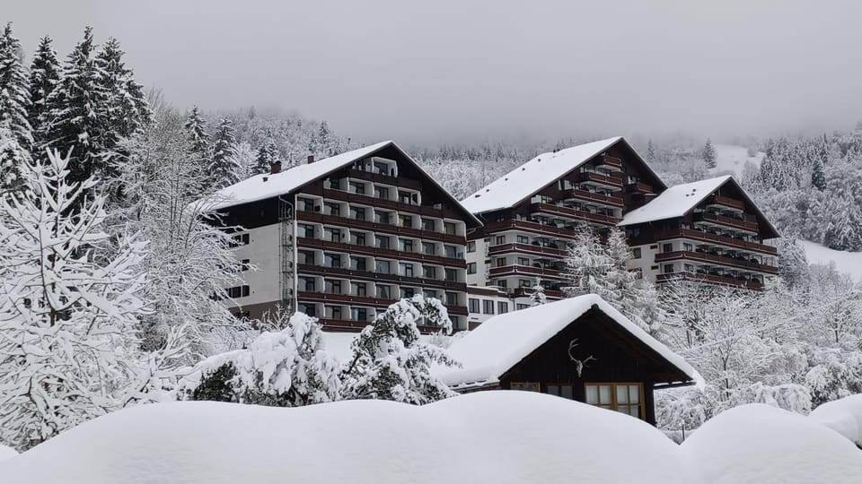 dachstein view Apartment in Salzburgerland