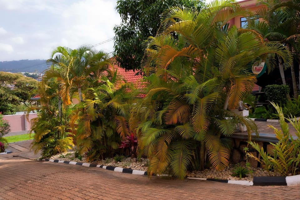 Natural landscape, Garden, Garden view