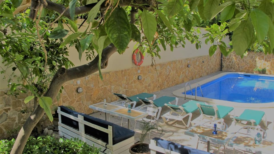 Garden, Swimming pool