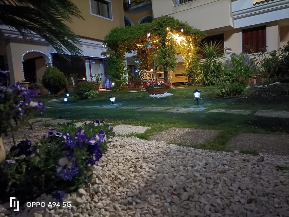 Night, Garden