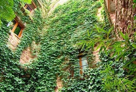 El Jardín Vertical Country House in Valencian Community