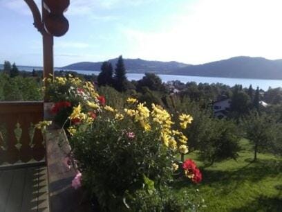 Lake view